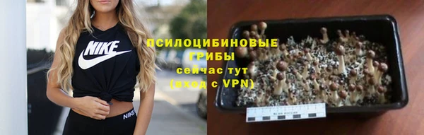 крисы Алексеевка