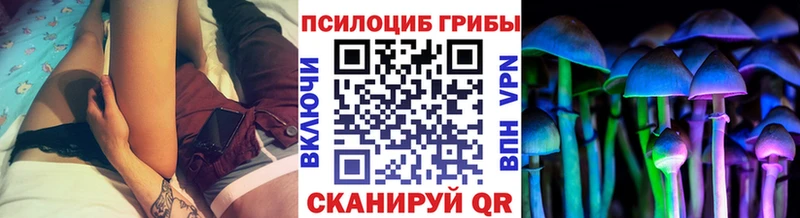 Галлюциногенные грибы Psilocybine cubensis  Пикалёво 